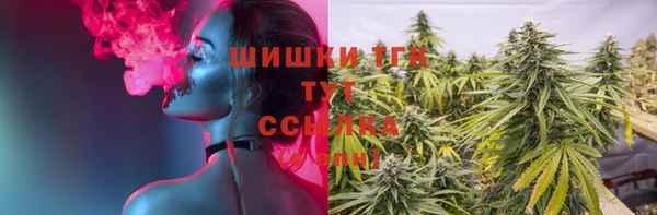 индика Армянск