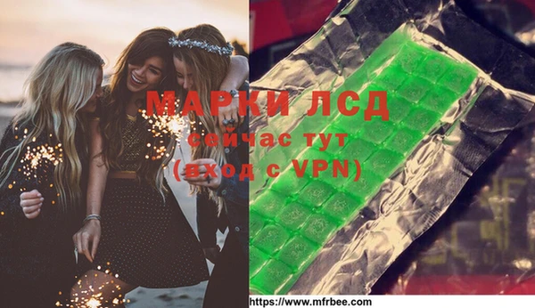 индика Армянск