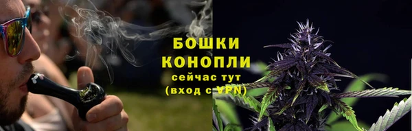прущий лед Арсеньев
