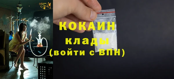 индика Армянск