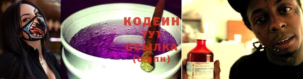 индика Армянск