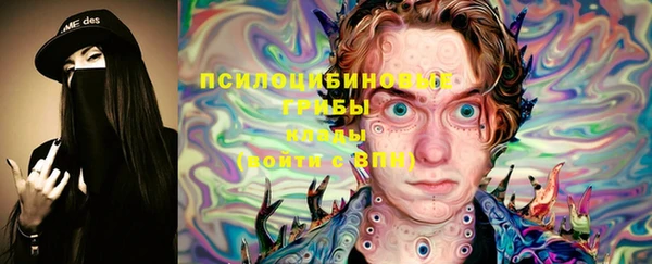 крисы Аркадак