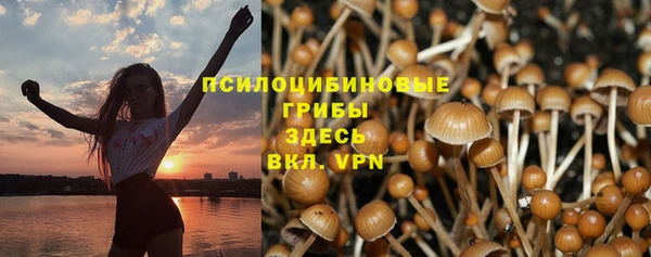 прущий лед Арсеньев