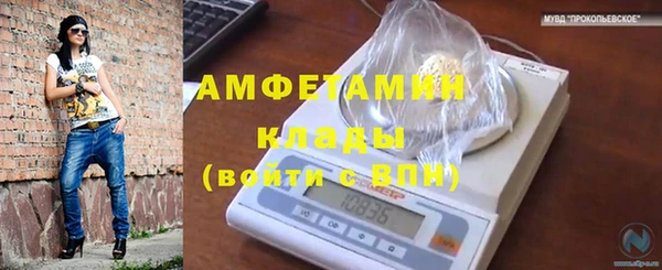 крисы Аркадак
