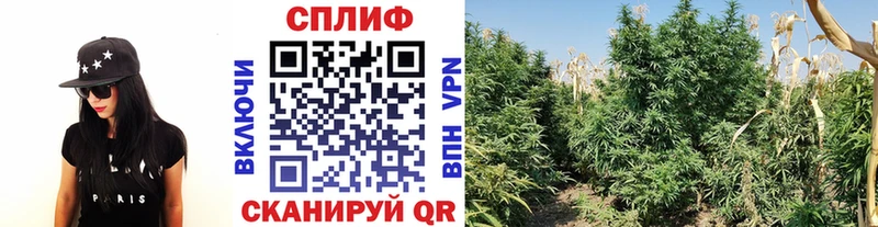 МАРИХУАНА OG Kush  наркошоп  Зуевка 